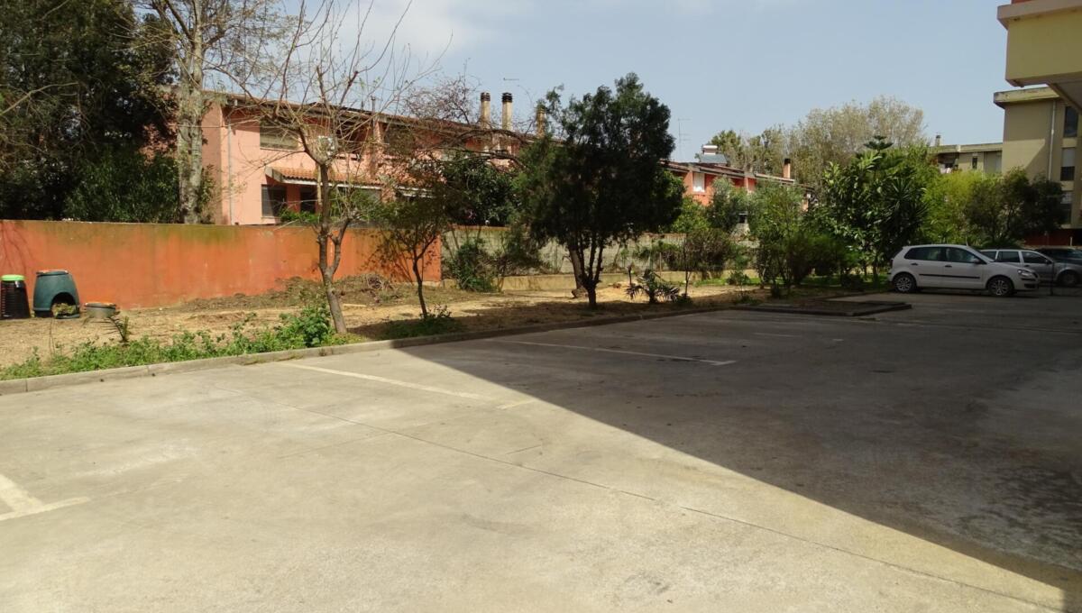 DSC05290